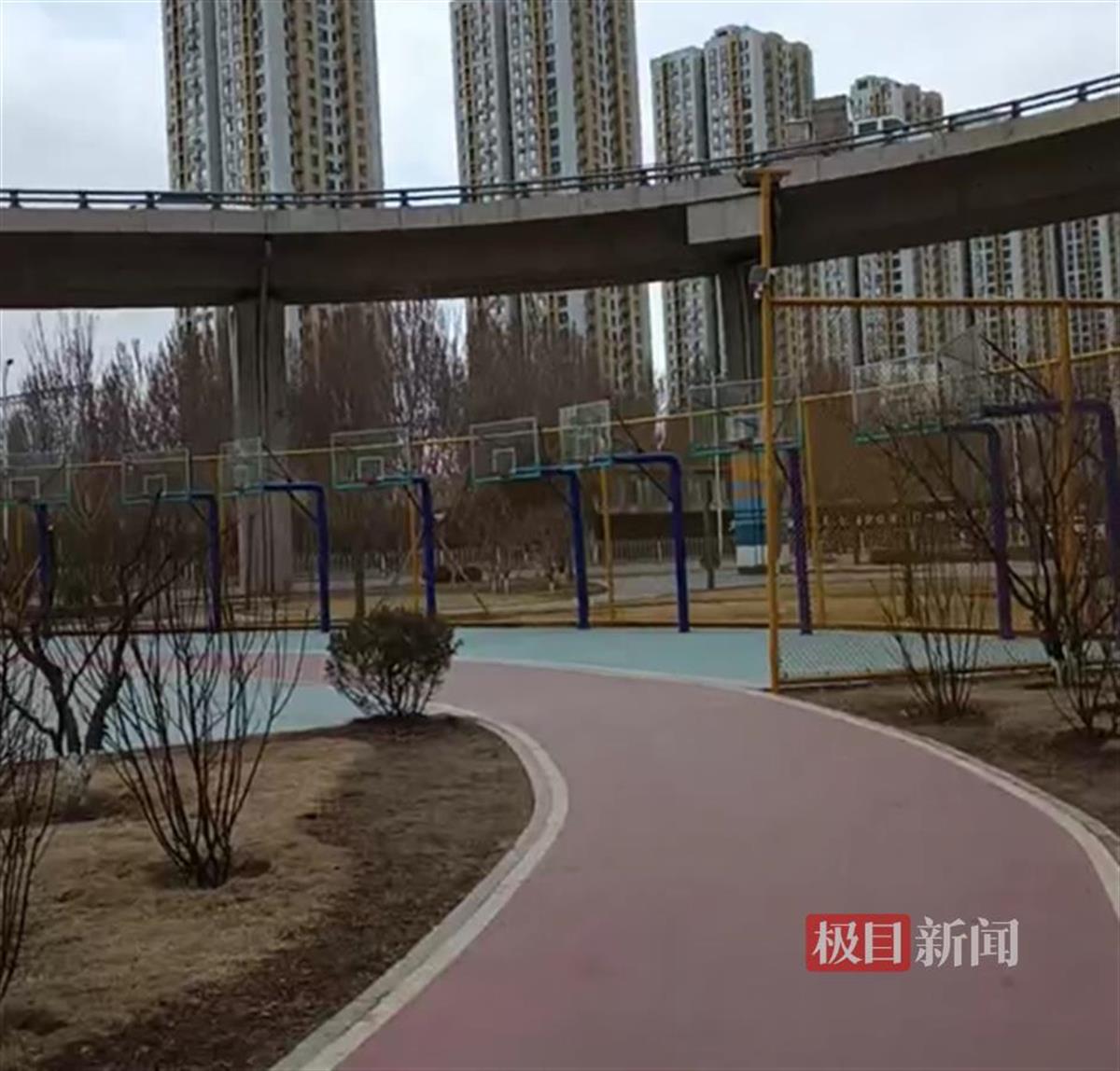 篮球架网友质疑设计不合理：投篮专用澳门新葡京沈阳一公园密集排列9个(图2)